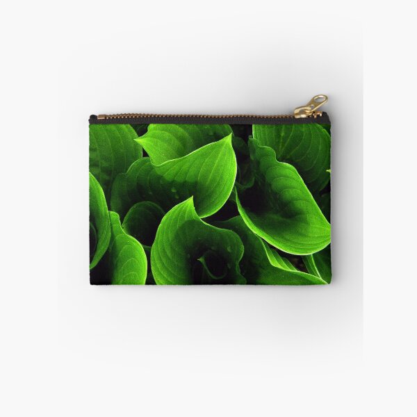 Item preview, Hosta designed and sold by Len Bomba.