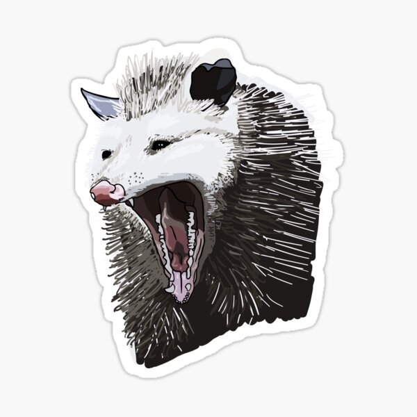 Opossum Drama Sticker