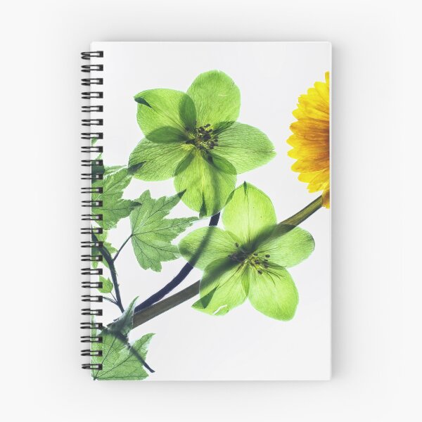 Item preview, High Key pressed flowers designed and sold by Philip Butler.