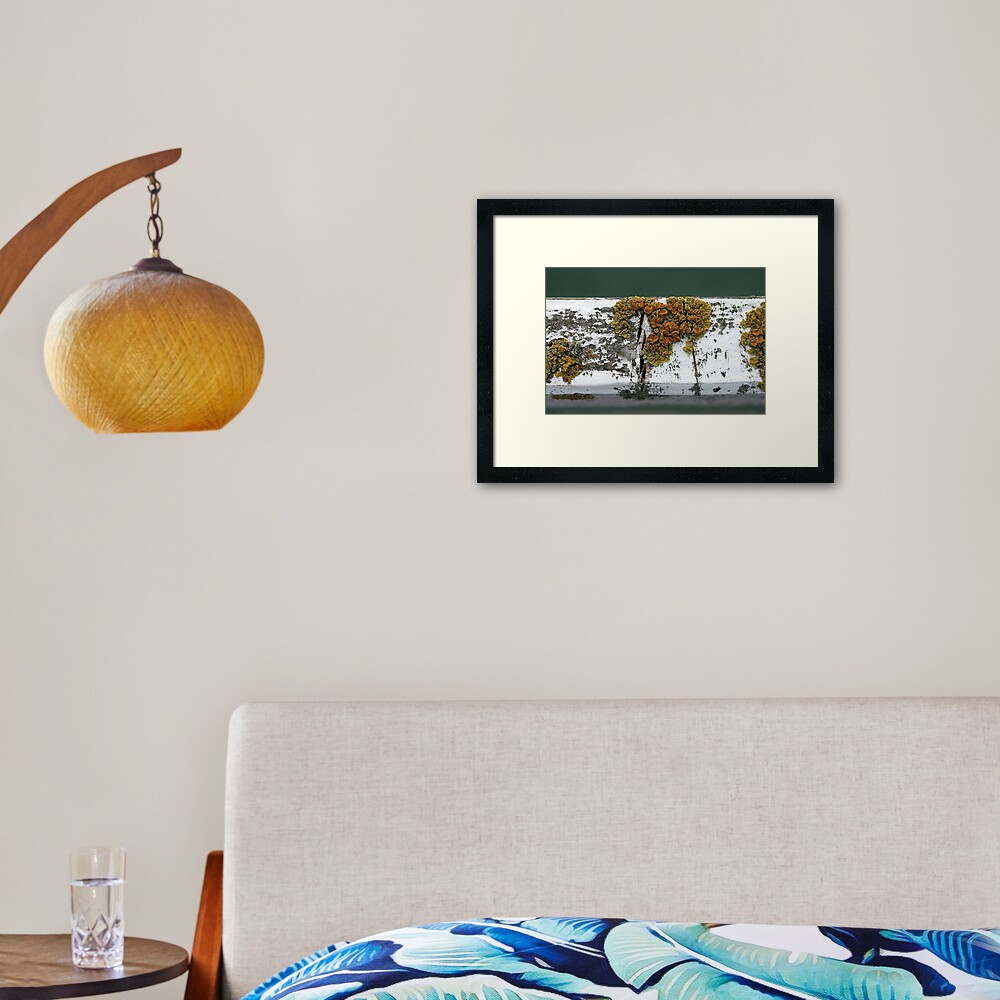 Lichen Framed Art Print
