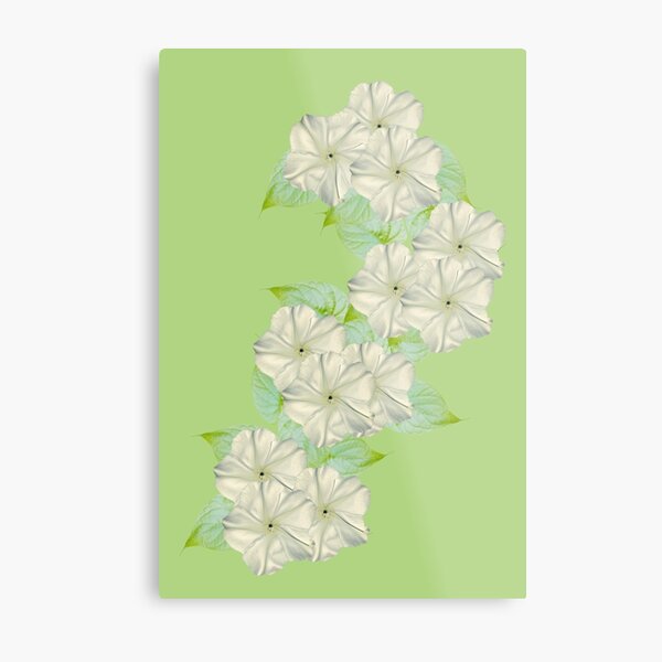Moonflower Garden Metal Print