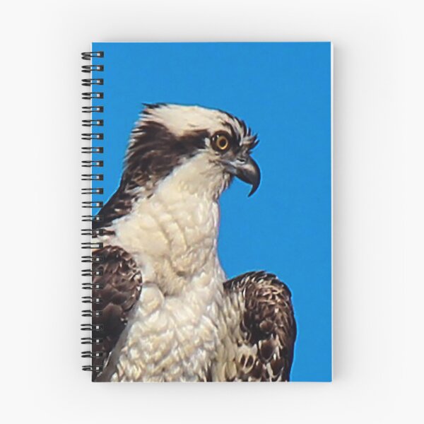 Item preview, Fish Eagle Portrait designed and sold by Bob Hardy.