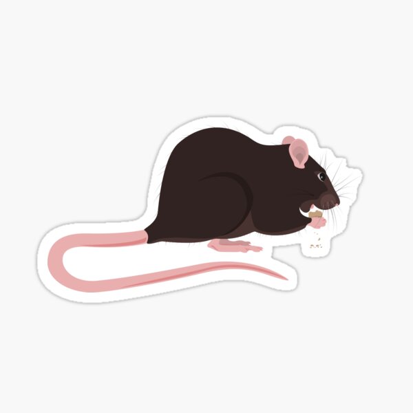 Brown Rattie Sticker