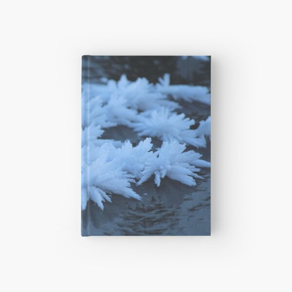 Schneekristalle Notizbuch