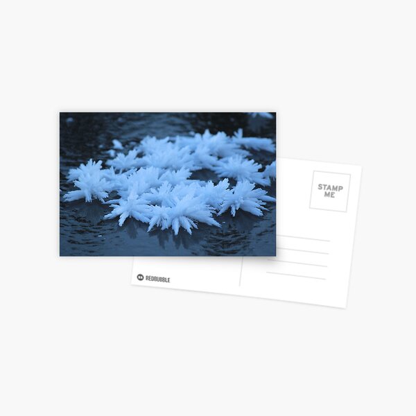Schneekristalle Postkarte