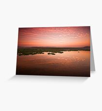 Desperate dawn Greeting Card