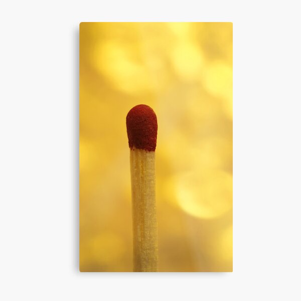 Contemplation Metal Print