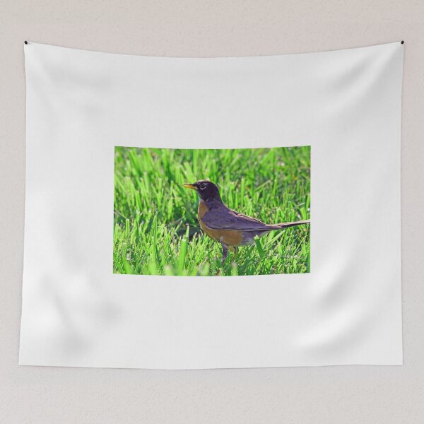Item preview, Turdus migratorius designed and sold by RichImage.