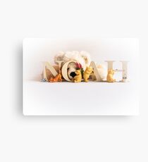 Noah Canvas Print