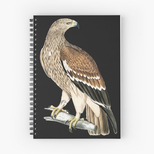 Item preview, EAGLE designed and sold by Infopreneur123.