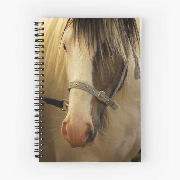 Item preview, Gipsy Pony Portrait...Appleby Horse Fair, Cumbria, UK designed and sold by Billlee.