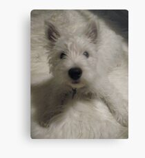 First Baby Pictures Metal Print