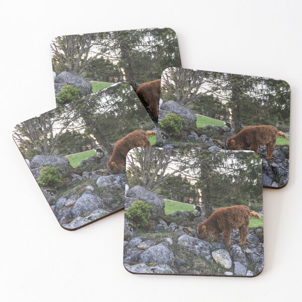 Item preview, Scottish Highland Cattle Calf and Cats 1756 designed and sold by SaarelaHighland.