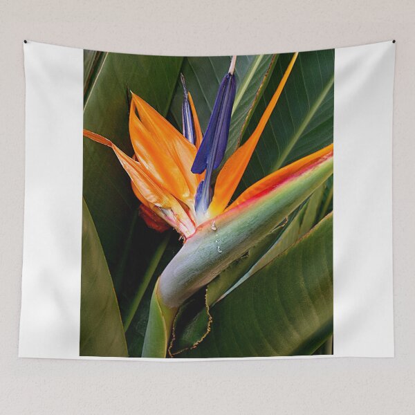 Item preview, Sorrow in Paradise designed and sold by Buddy Doyle.