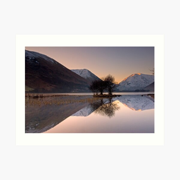 Reflections Art Print