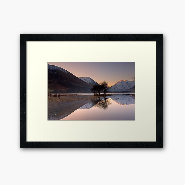Reflections Framed Art Print