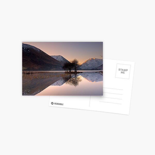 Reflections Postcard
