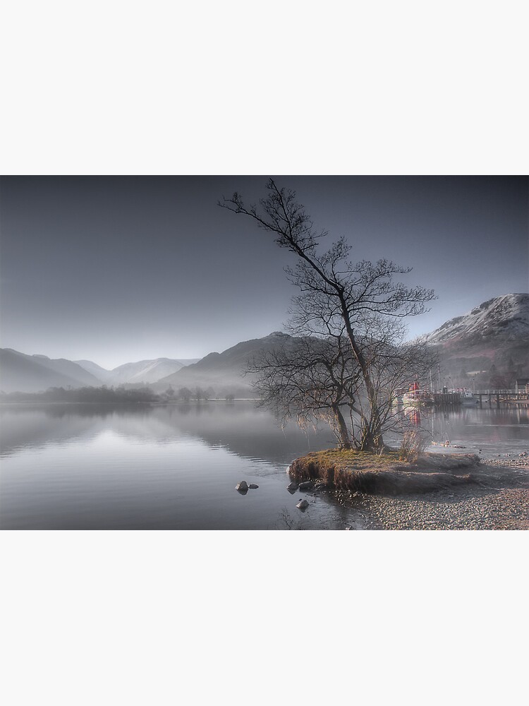 Winters Morning by tontoshorse