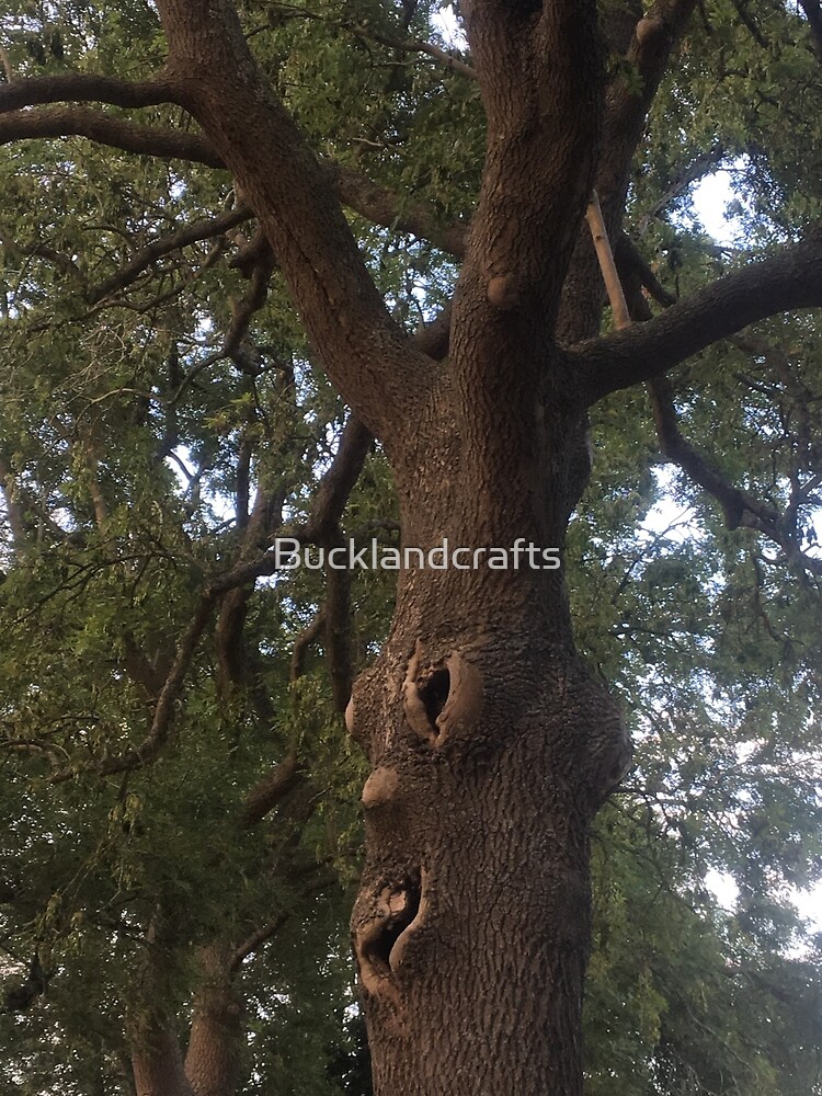 "Trees Have Feelings!" Poster for Sale by Bucklandcrafts Redbubble