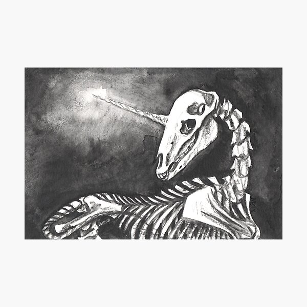 Undying Light Photographic Print