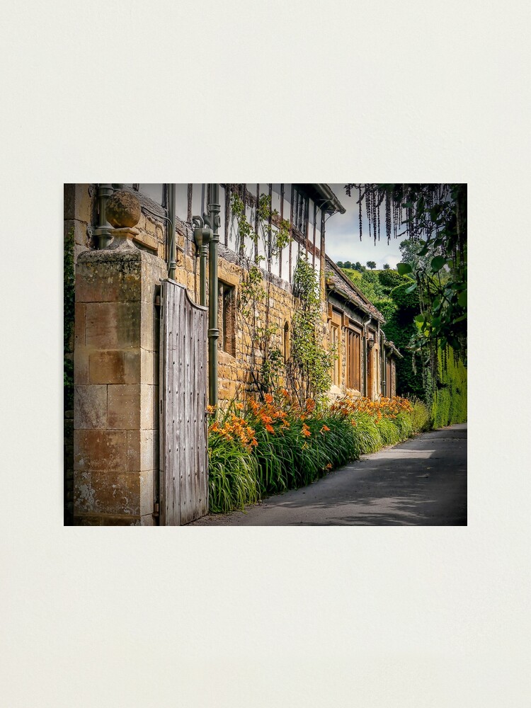 Alternate view of Captivating View Photographic Print