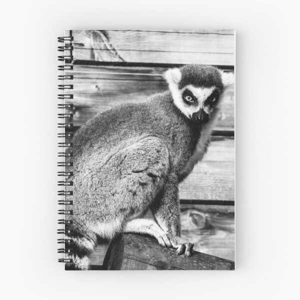 Item preview, Ring Tailed Lemur designed and sold by CRGArtDesign.