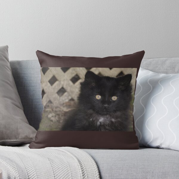 Item preview, Blackie Bartholomew Kitten designed and sold by rebfrost.