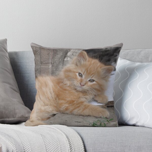 Item preview, Bruce the Kitten designed and sold by rebfrost.