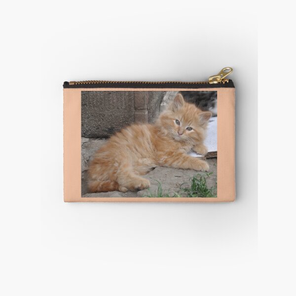 Item preview, Bruce the Kitten designed and sold by rebfrost.