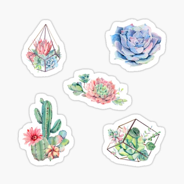 Watercolor Cactus Pack Sticker