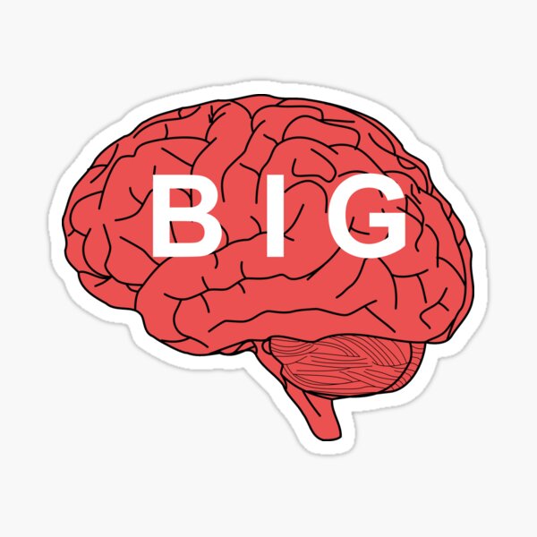 Large brain. Стикер мозг. Мозг стикер без фона. Мозг наклейка. Стикер мозга для презентации.