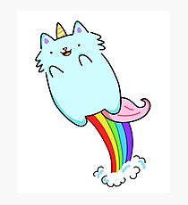Rainbow Flying Caticorn Photographic Print