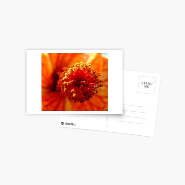 up close and personal Postcard