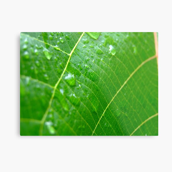 veins Metal Print
