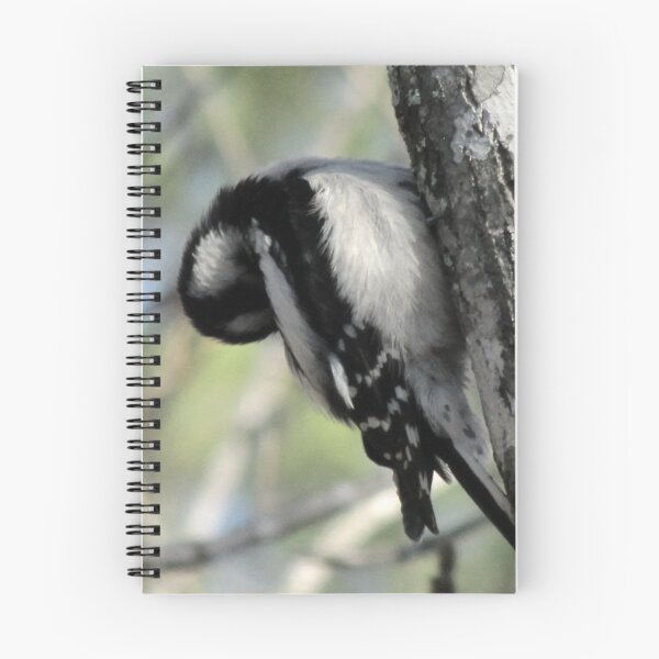 Item preview, I'm Very Bendy designed and sold by Jean Gregory Evans.