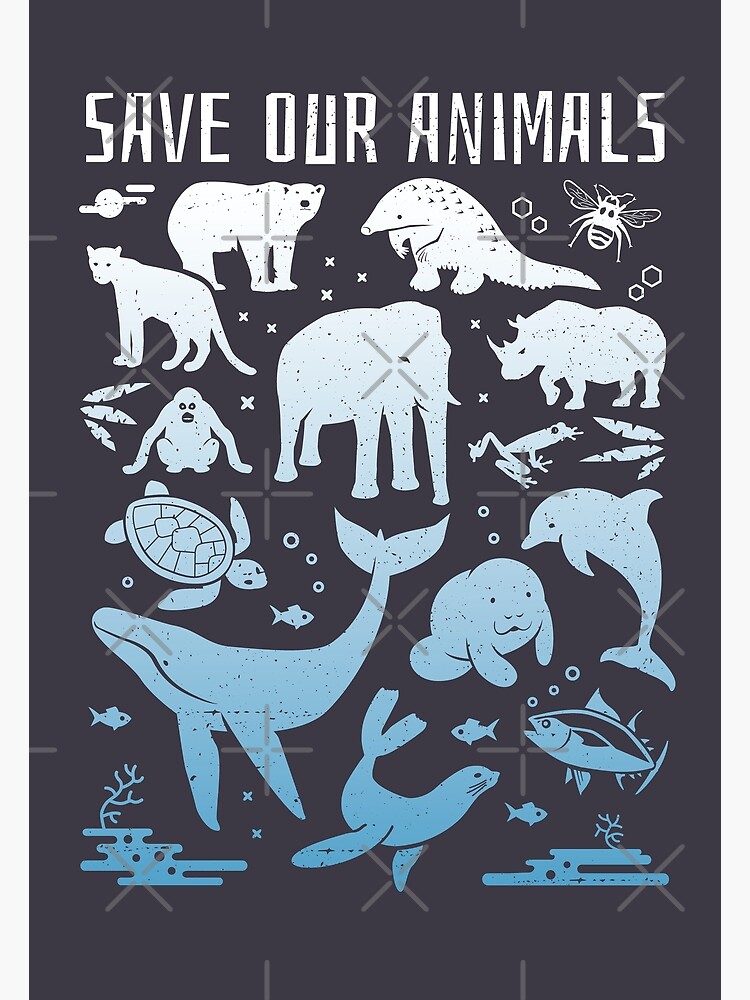 Poster On Save Wildlife Poster On Save Wildlife Save - vrogue.co