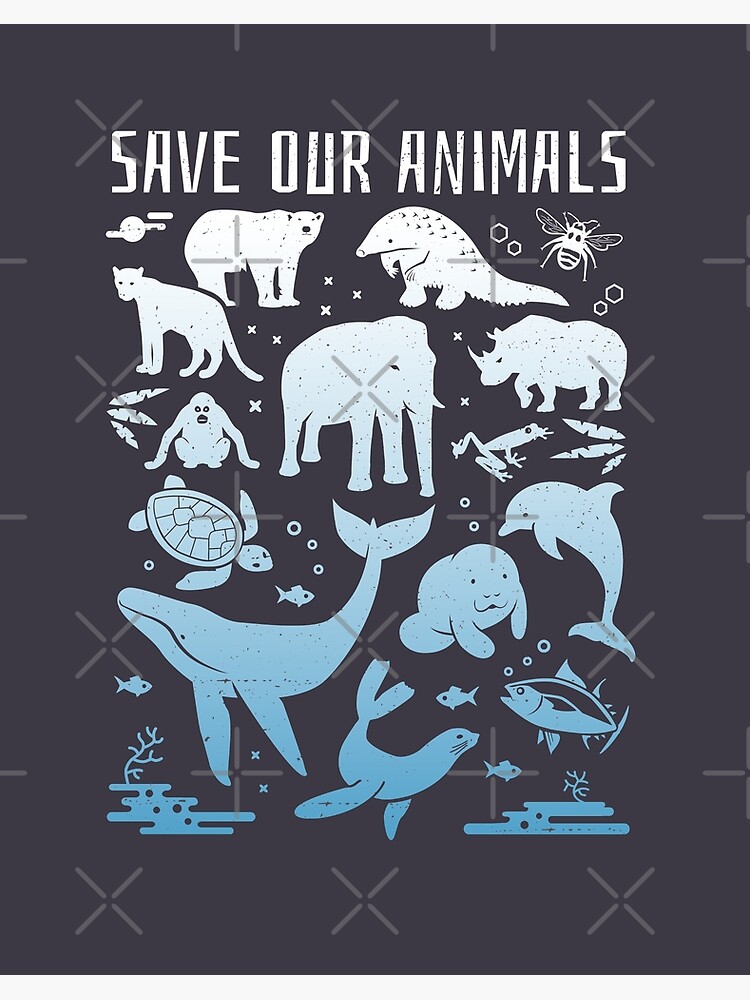 Save Our Animals - Endangered Animals of the World Save Our Animals - Endangered Animals of the World