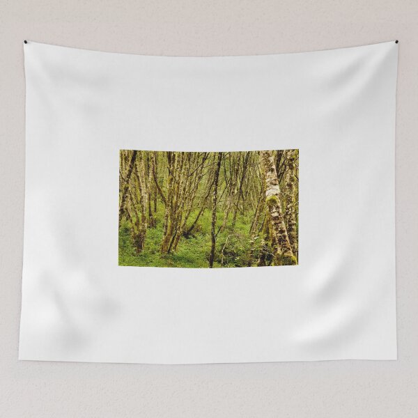 Item preview, Red Alders 2 designed and sold by jklune.