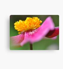 Bloom Canvas Print