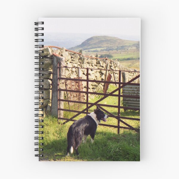 Item preview, A day in the country with Young Indy. designed and sold by Michael Haslam.