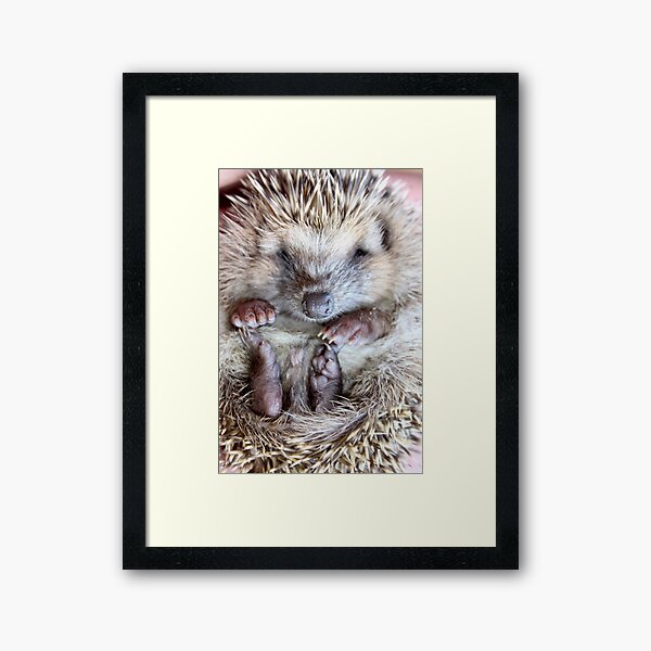Kini de Nao Framed Art Print