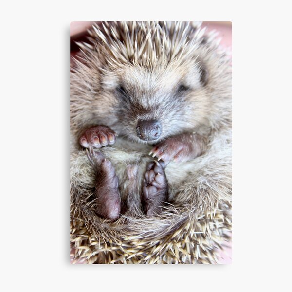 Kini de Nao Metal Print