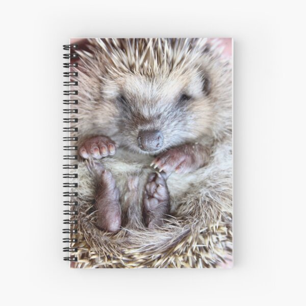 Kini de Nao Spiral Notebook
