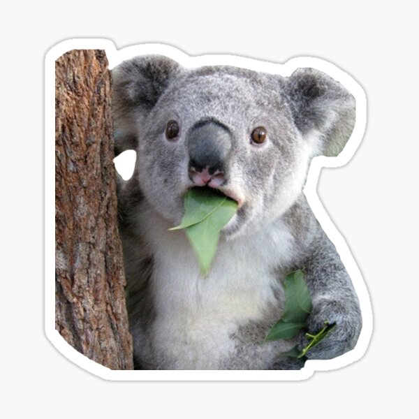 Item preview, Koala-ty  designed and sold by Making-Waves.