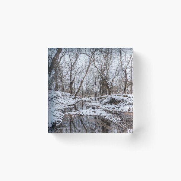Item preview, Snow At Finley River designed and sold by mljdwhite.