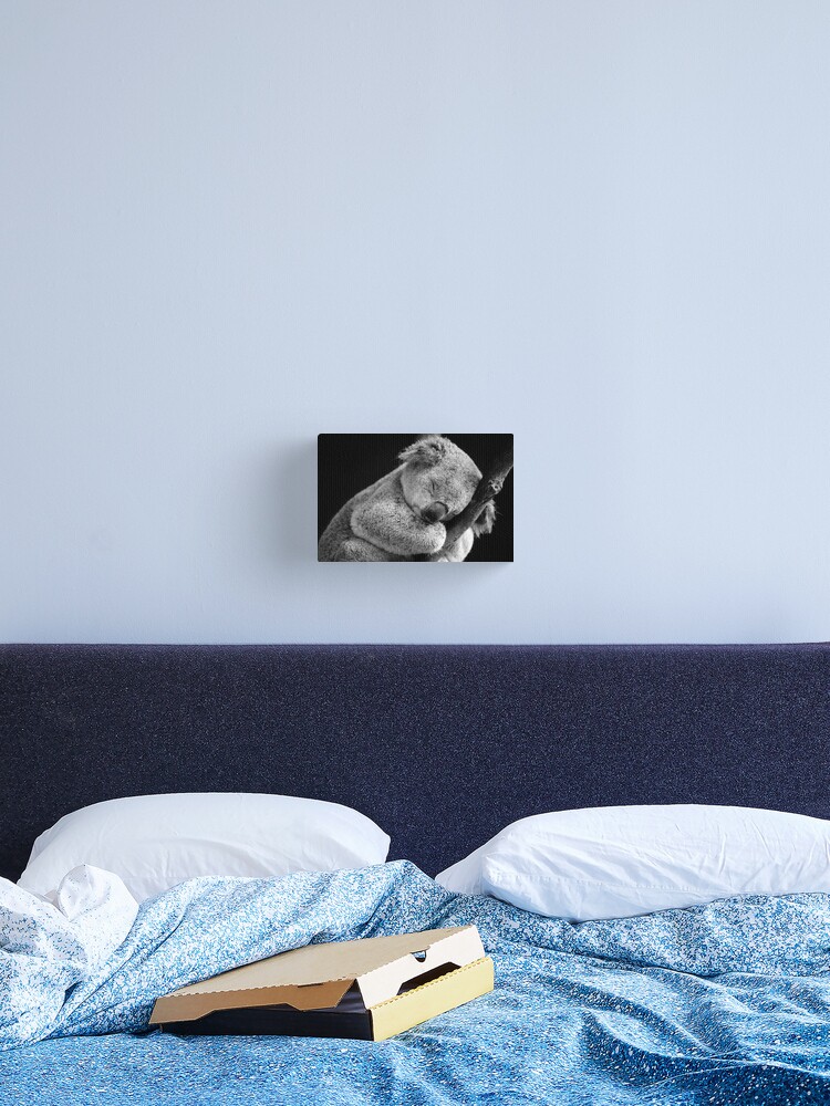 Sleeping Koala Art Print by David Morgan-mar 