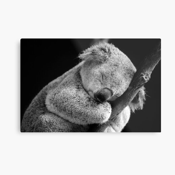 Item preview, Wake Me Later - Sleeping Koala designed and sold by David Morgan-Mar.
