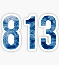 813 Sticker