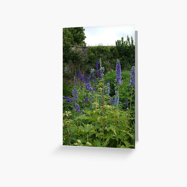 Delphiniums #1 in Harmony Garden Greeting Card