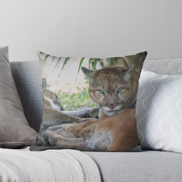 Item preview, Facing Extinction - Florida Panther designed and sold by Owed To Nature.